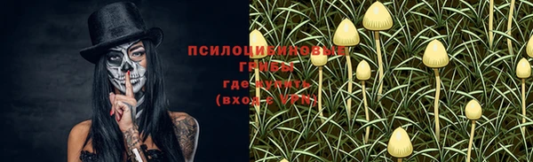 PSILOCYBIN Алексин