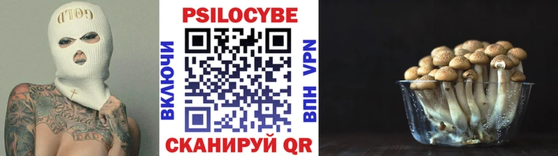 Галлюциногенные грибы MAGIC MUSHROOMS  Прохладный 
