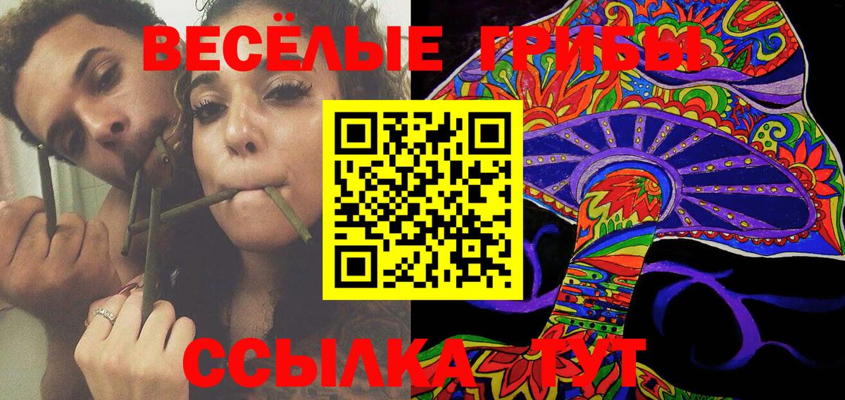 Галлюциногенные грибы Cubensis Прохладный