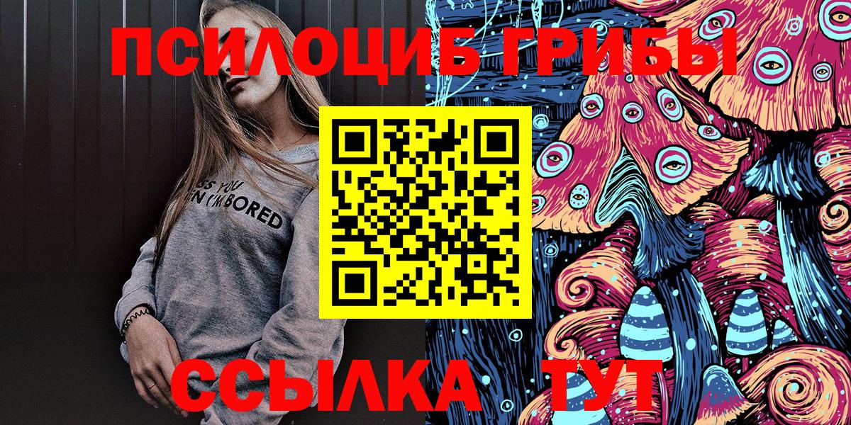 Прохладный  Псилоцибиновые грибы мицелий  Вход с VPN 